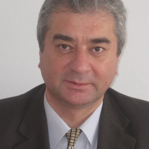 Prof. Nicu Bizon